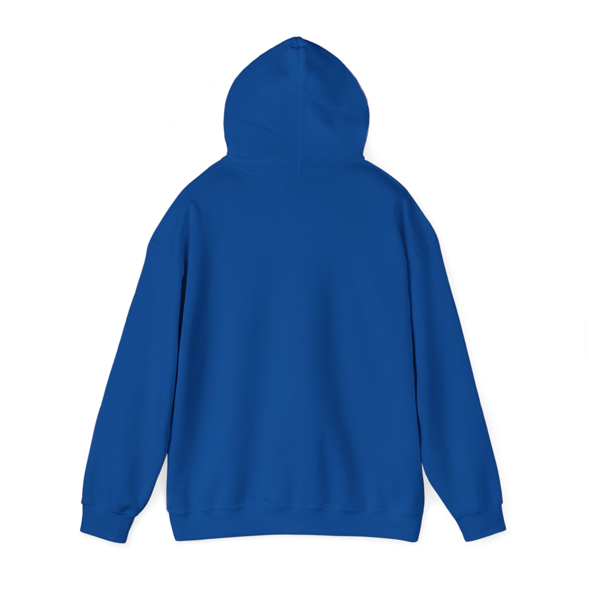 Eye Don't Chase Hooded Sweatshirt